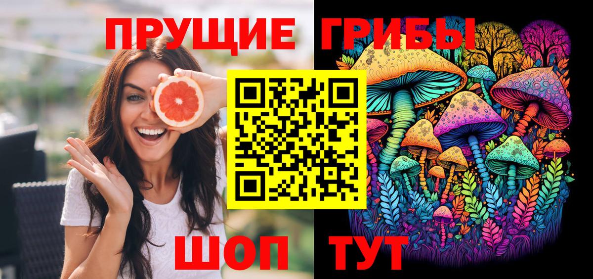 Галлюциногенные грибы Cubensis Камень-на-Оби