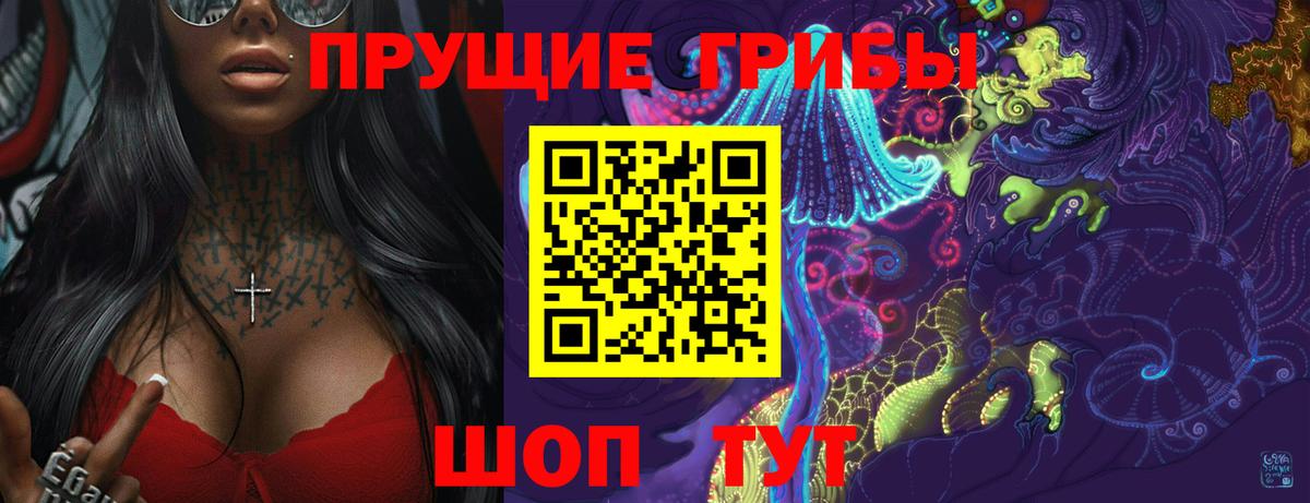 Камень-на-Оби  Псилоцибиновые грибы мухоморы  Вход с VPN 